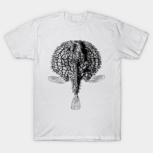 Stonefish | Ocean Sea Animal Marine Life T-Shirt by encycloart